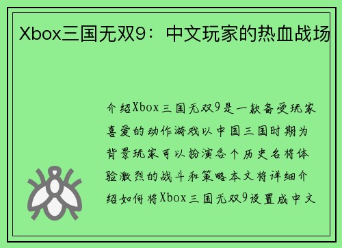 Xbox三国无双9：中文玩家的热血战场